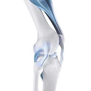 Darstellung der Anatomie des Knies bei einer Kniegelenkinstabilität. 